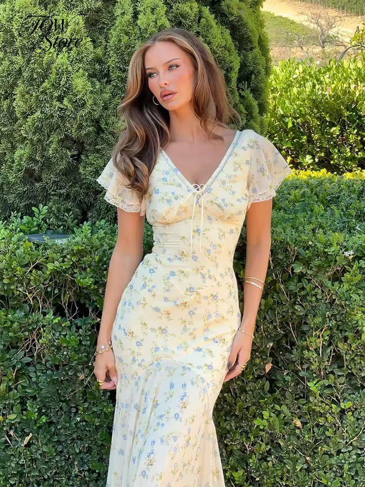 Petalvéra